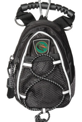 Alabama (Birmingham) Blazers Black Mini Day Pack (Set of 2)