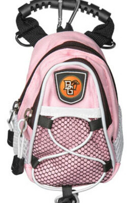 Bowling Green State Falcons Pink Mini Day Pack (Set of 2)