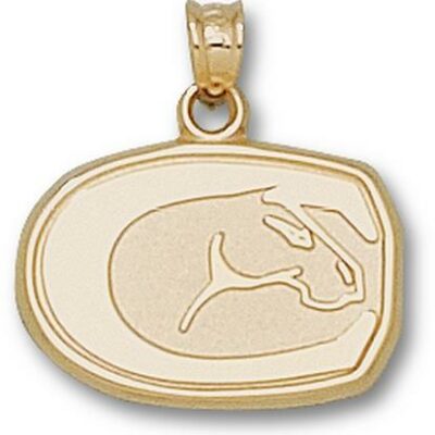 California (Davis) Aggies "Horse Head" 1/2" Pendant - 10KT Gold Jewelry