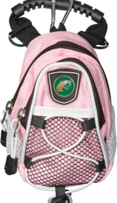 Florida A & M Rattlers Pink Mini Day Pack (Set of 2)