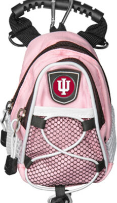 Indiana Hoosiers Pink Mini Day Pack (Set of 2)