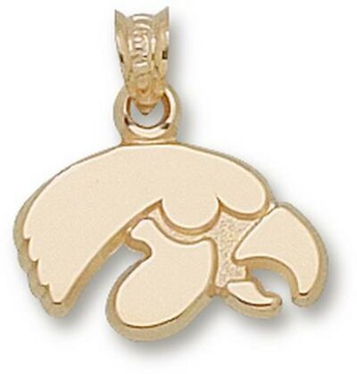 Iowa Hawkeyes "Hawk Face" Pendant - 14KT Gold Jewelry