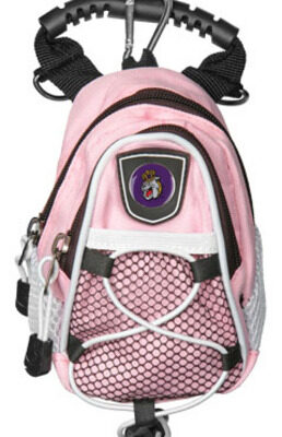 James Madison Dukes Pink 8" x 9" Mini Day Pack (Set of 2)