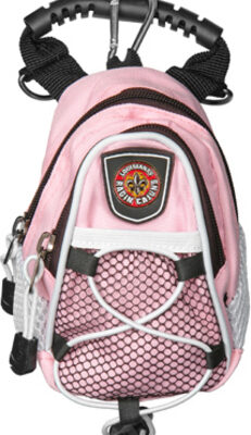 Louisiana (Lafayette) Ragin' Cajuns Pink Mini Day Pack (Set of 2)