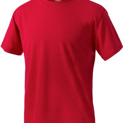 Men's Solid Wicking Tee Shirt from Charles River Apparel