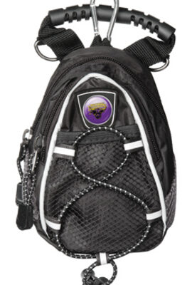 Minnesota State-Mankato Mavericks Black Mini Day Pack (Set of 2)