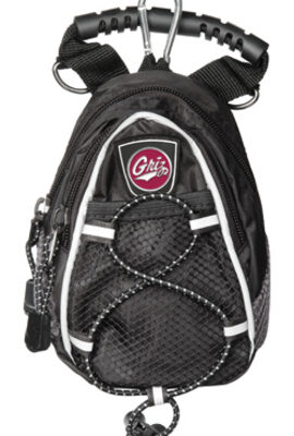 Montana Grizzlies Black Mini Day Pack (Set of 2)