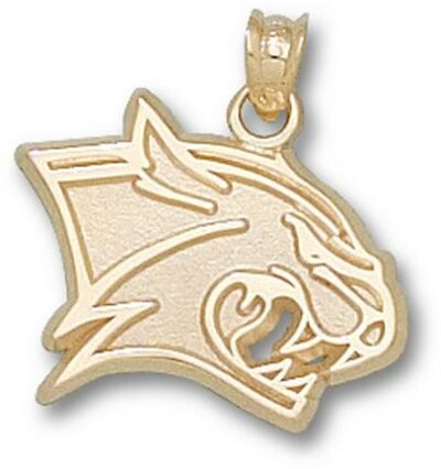 New Hampshire Wildcats New "Wildcat Head" 5/8" Pendant - 10KT Gold Jewelry