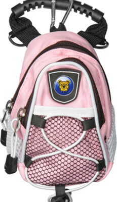 North Carolina A & T Aggies Pink Mini Day Pack (Set of 2)