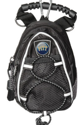 Pittsburgh Panthers Black Mini Day Pack (Set of 2)