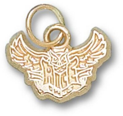 Rice Owls New "Rice Flying Owl" 3/8" Charm - 10KT Gold Jewelry