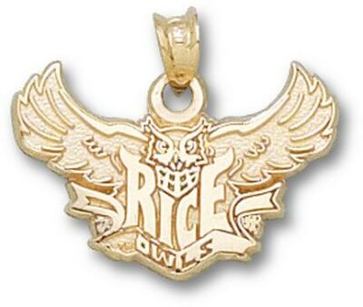 Rice Owls "Rice Flying Owl" Pendant - 10KT Gold Jewelry