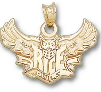 Rice Owls "Rice Flying Owl" Pendant - 10KT Gold Jewelry