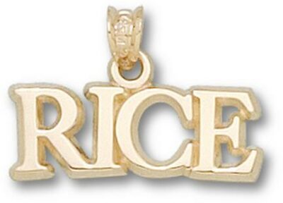 Rice Owls "Rice" Pendant - 10KT Gold Jewelry