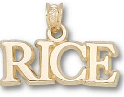 Rice Owls "Rice" Pendant - 10KT Gold Jewelry