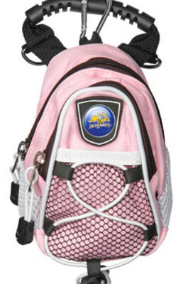 South Dakota State Jackrabbits Pink 8" x 9" Mini Day Pack (Set of 2)