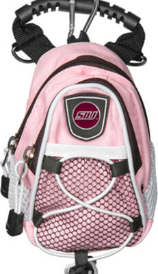 Southern Illinois Salukis Pink Mini Day Pack (Set of 2)