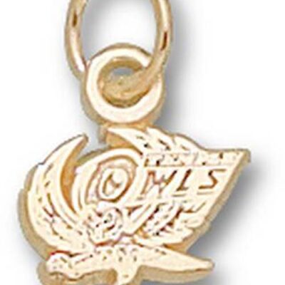 Temple Owls "Owl" 1/4" Charm - 14KT Gold Jewelry