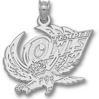 Temple Owls "Temple Owl" Pendant - Sterling Silver Jewelry