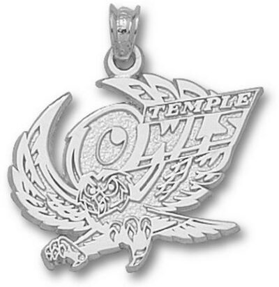 Temple Owls "Temple Owl" Pendant - Sterling Silver Jewelry