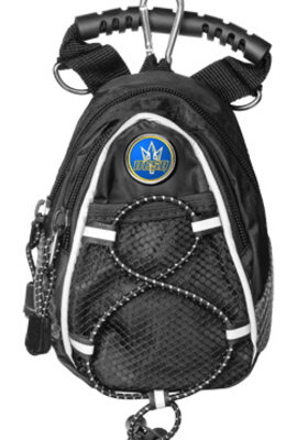 UCSD Tritons Black Mini Day Pack (Set of 2)