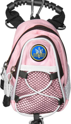 UCSD Tritons Pink 8" x 9" Mini Day Pack (Set of 2)