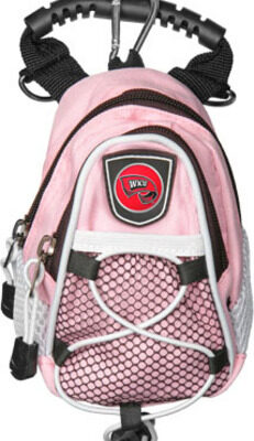 Western Kentucky Hilltoppers Pink Mini Day Pack (Set of 2)