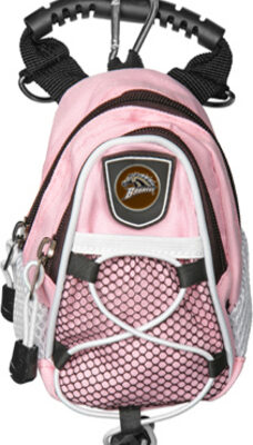 Western Michigan Broncos Pink Mini Day Pack (Set of 2)