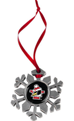 Youngstown State Penguins Snowflake Ornament (Set of 2)